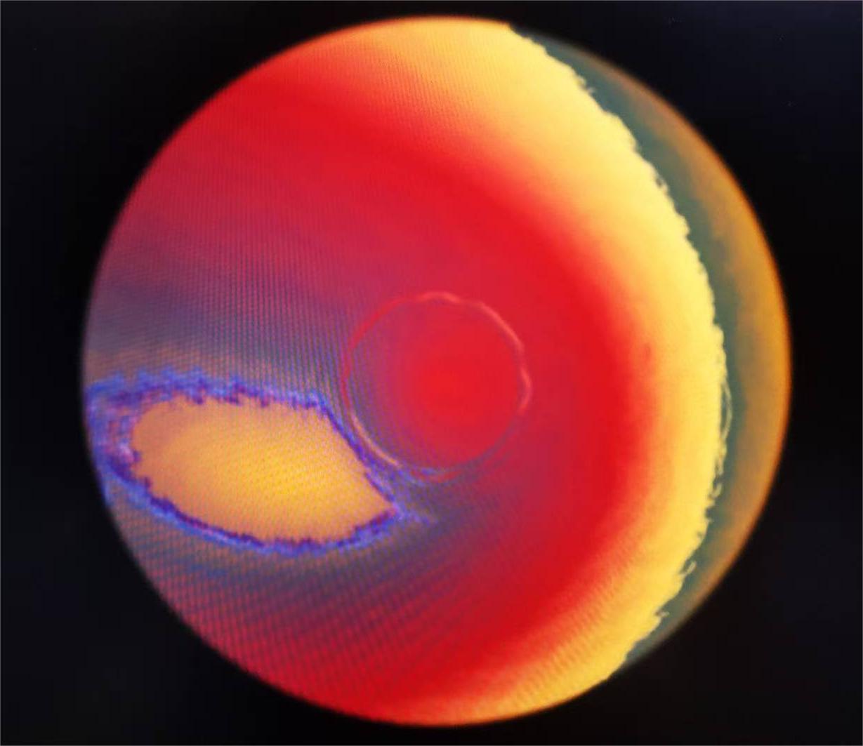 Official copyright 2025 by Kuo-Ying Lee All Rights Reserved